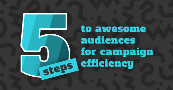 campaign efficiency audiences