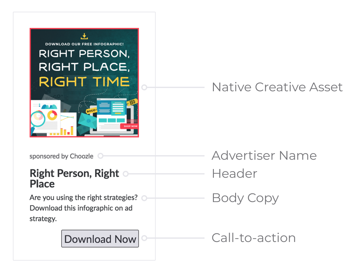 Choozle anatomy of a native advertisement